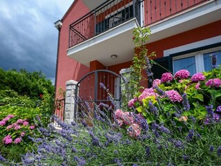 Villa Gruda Buitenaudio-opname 3