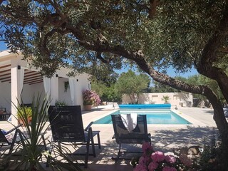 Villa Nerežišća  34