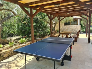 Villa Nerežišća Außenaufnahme 6