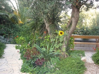 Apartment Orebic Außenaufnahme 5