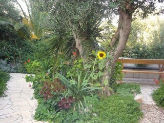 Appartement Orebic Buitenaudio-opname 17