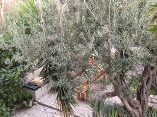 Appartement Orebic Buitenaudio-opname 9