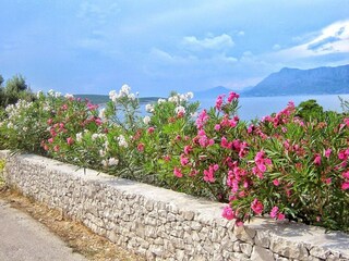 Appartamento Povlja Registrazione all'aperto 4