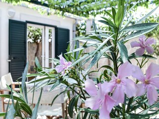 Appartement Povlja Buitenaudio-opname 10
