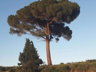 Appartement Brzac Buitenaudio-opname 3