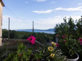 Apartment Brzac Außenaufnahme 4