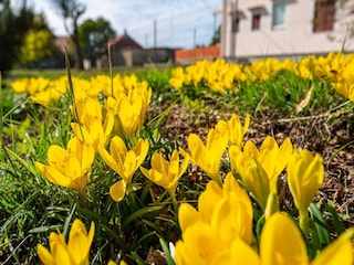 Villa Gornji Poličnik Außenaufnahme 1