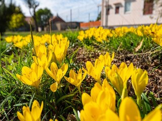 Villa Gornji Poličnik Buitenaudio-opname 1