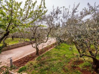 Appartement Muline Buitenaudio-opname 4