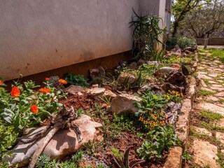 Appartement Muline Buitenaudio-opname 10