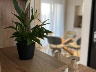 Appartement Zadar Kenmerken 13