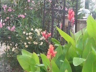 Apartamento Karin Grabación al aire libre 7