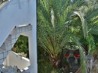 Apartment Lopar Outdoor Recording 5