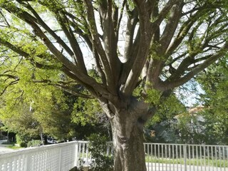 Apartment Karin Außenaufnahme 4