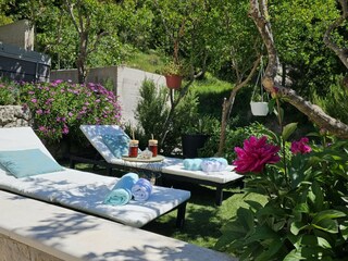 Vakantiehuis Nemira  58