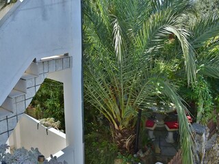 Appartement Lopar Buitenaudio-opname 5