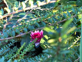 Appartement Rakovica Buitenaudio-opname 7