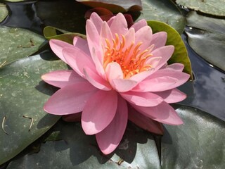 Apartamento Rakovica Grabación al aire libre 8