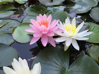 Appartement Rakovica  17