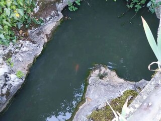 Casa de vacaciones Raša  21