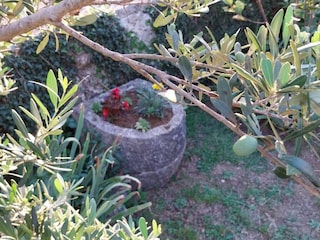 Maison de vacances Raša  28