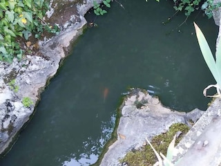 Ferienhaus Raša  27