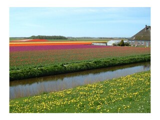 Vakantiehuis Callantsoog Omgeving 35