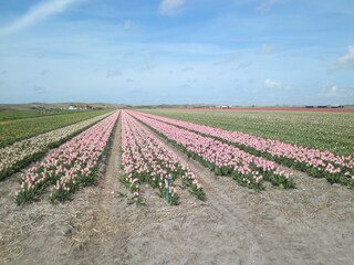 Vakantiehuis Callantsoog Omgeving 28