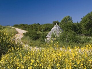 Villa Batlug Buitenaudio-opname 9