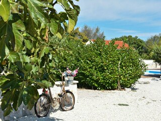 Villa Ključ Buitenaudio-opname 1