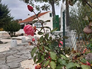Villa Ključ Grabación al aire libre 19
