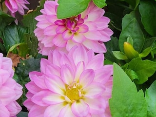 Ferienhaus Lukovo Šugarje Außenaufnahme 2