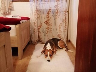 Casa de vacaciones Lukovo Šugarje Características 37
