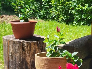 Casa de vacaciones Lukovo Šugarje Grabación al aire libre 6