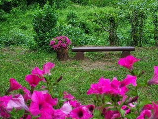 Casa de vacaciones Lukovo Šugarje Grabación al aire libre 8