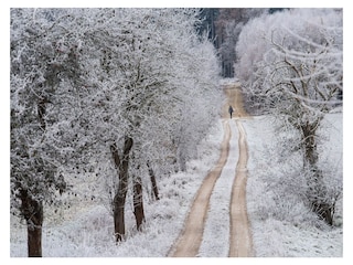Spaziergang in frischer Luft