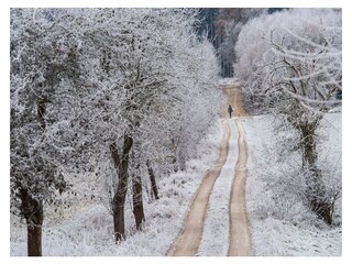 Walk in the fresh air