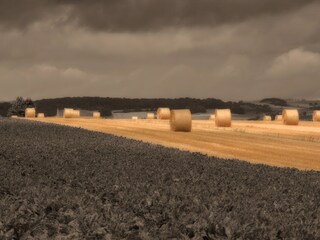 Vakantiehuis Dassel Omgeving 33