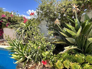Apartment Nerja Außenaufnahme 10