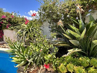 Appartement Nerja Buitenaudio-opname 10