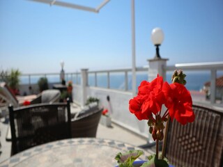 Appartement Nerja  40