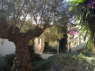 Casa per le vacanze Denia Registrazione all'aperto 8