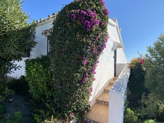 Ferienhaus Nerja Außenaufnahme 14