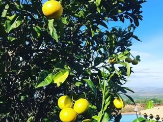 Ferienhaus Carlentini  42