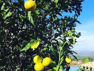 Vakantiehuis Carlentini  40