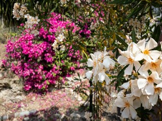 Maison de vacances Carlentini Enregistrement extérieur 12