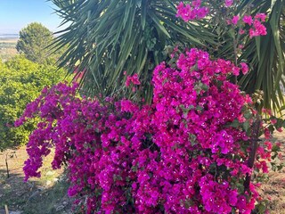 Casa per le vacanze Carlentini  38