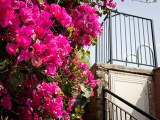 Casa per le vacanze Carlentini  39