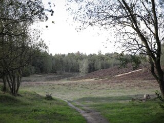 Casa per le vacanze Uddel Ambiente 33