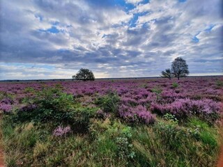 Vakantiehuis Uddel Omgeving 34